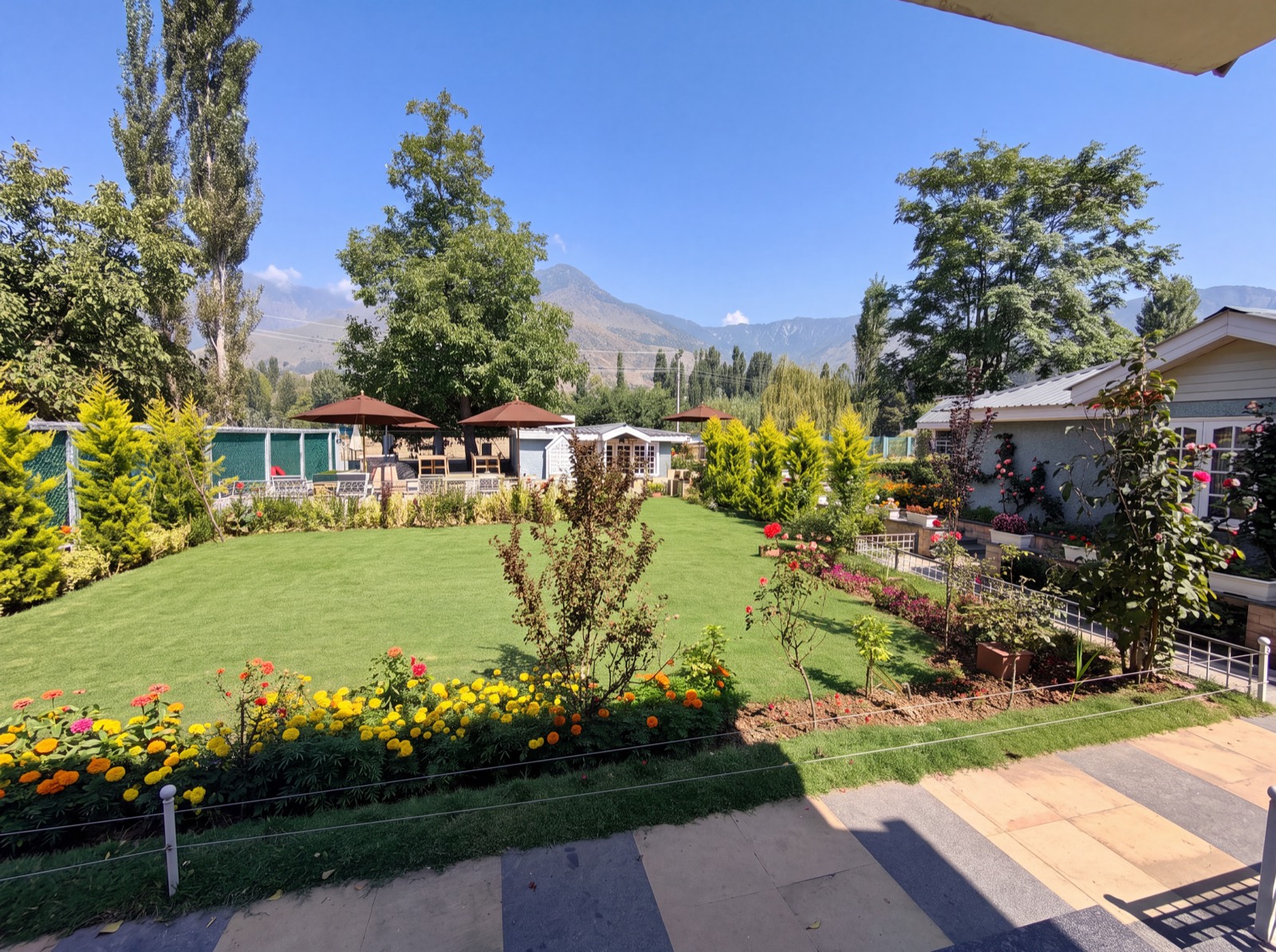 The front lawn