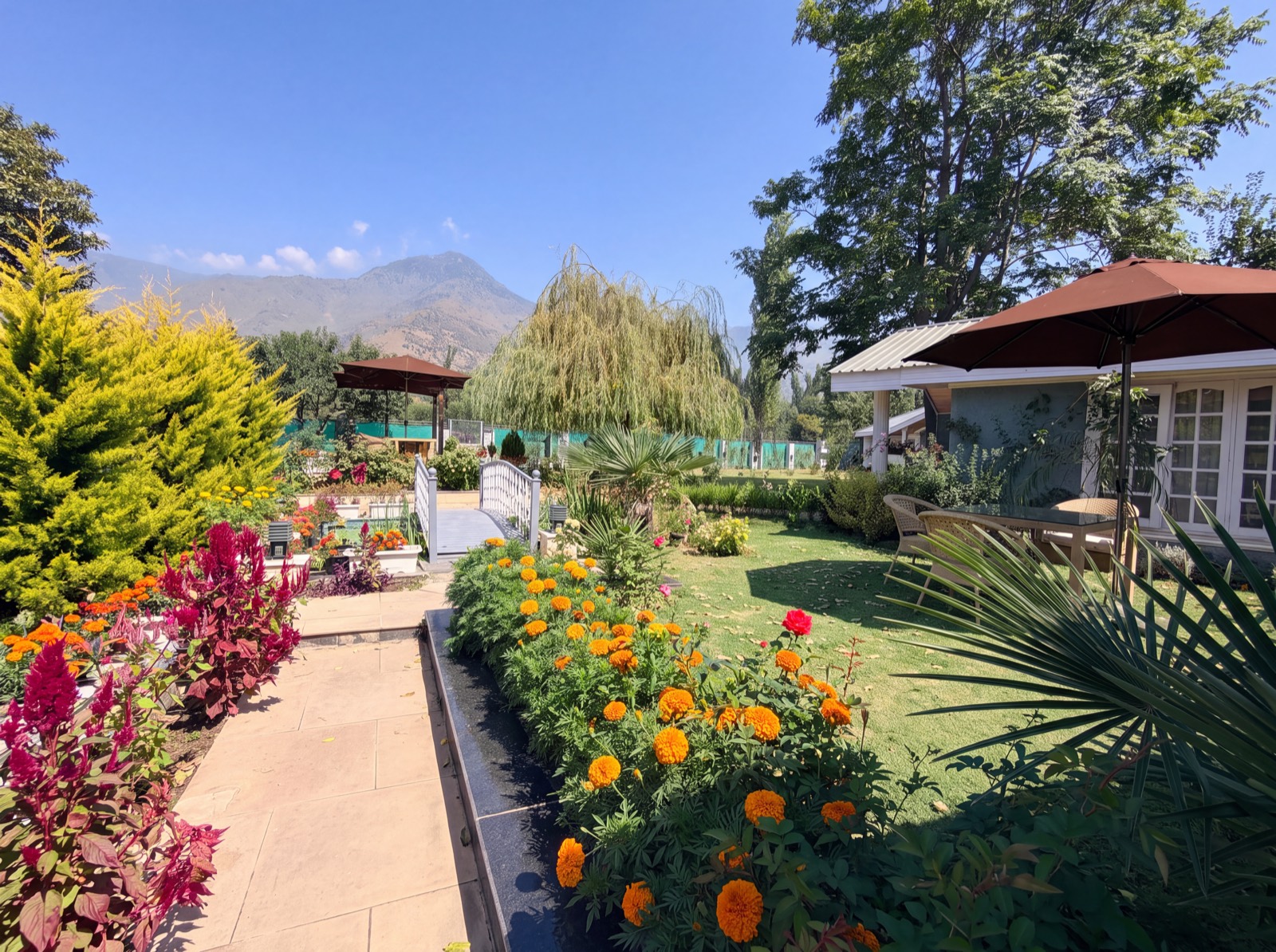The garden path